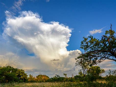 Friends of San Angelo State Park :: San Angelo State Park