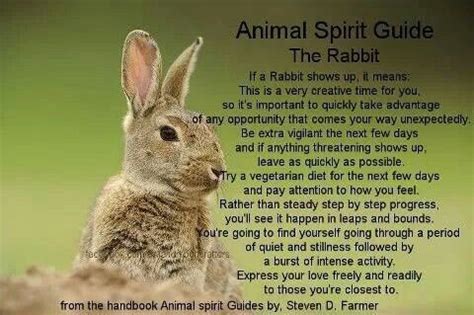 Rabbit | Animal spirit guides, Animal totem spirit guides, Animal ...