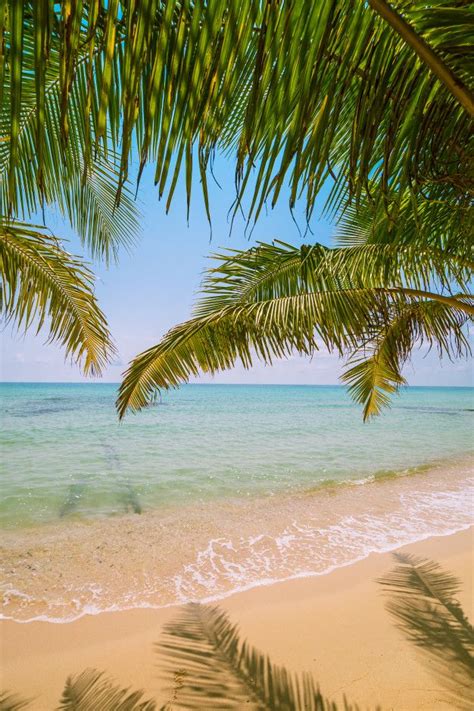 Bela ilha paradisíaca com mar e praia paisagem | Foto Premium | Paesaggi, Paesaggio vintage, Ferie