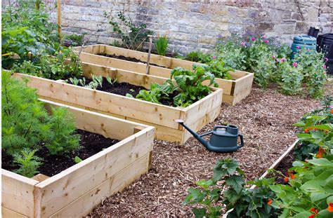 How to build a raised garden bed with wood – Builders Villa