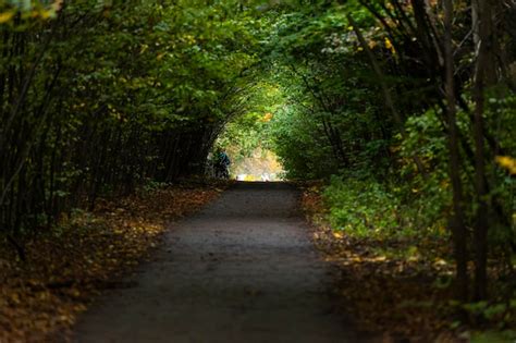 Premium Photo | Autumn path. road through the park