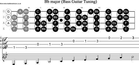 Bass Guitar Scale Bb