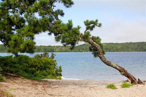 Nickerson State Park In Brewster, MA | America's State Parks