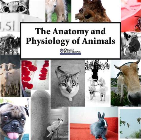 The Anatomy and Physiology of Animals - WikiEducator