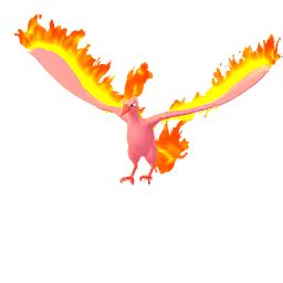 Moltres sprites gallery | Pokémon Database