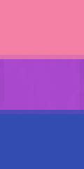 New Bisexual Minecraft Banners & Capes - Planet Minecraft