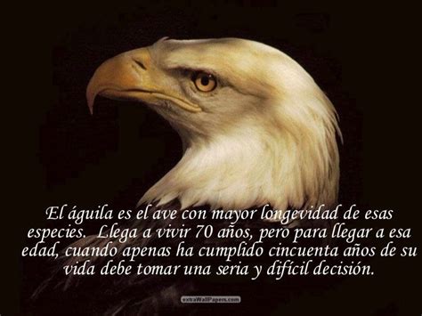 La RenovacióN Del Aguila