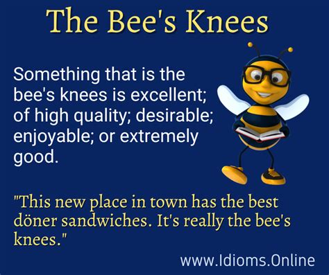 The Bee’s Knees | Idioms Online