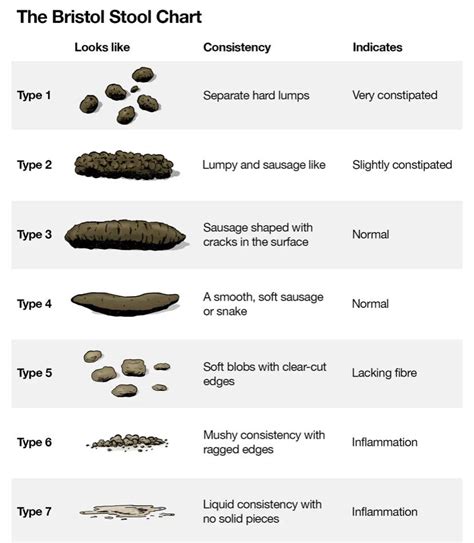 This chart shows different types of poo and what it indicates. : r/coolguides