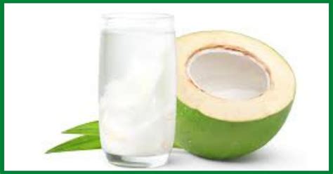 Acnh Coconut Juice – Health Benefits and Recipes