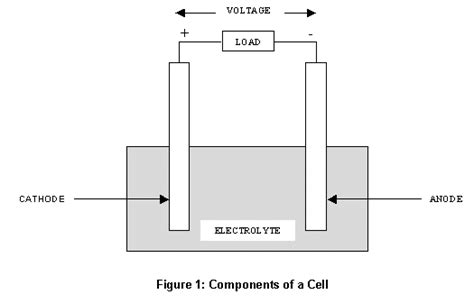 Components of Cells and Batteries