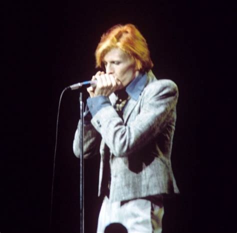 David Bowie, Diamond Dogs Tour 1974 | Bowie, David bowie diamond dogs, David bowie