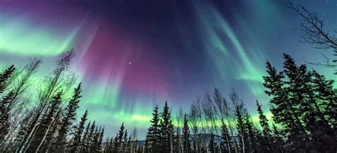 Photographing the Northern lights | Definitive Guide - Odyssey Traveller