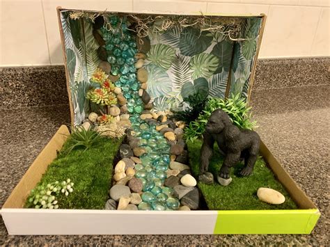 2nd Grade Diorama Project Gorilla in Rainforest Habitat | Animal ...