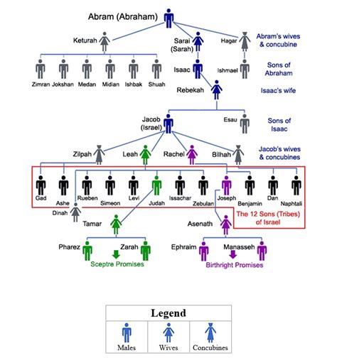 Abraham In The Bible Family Tree | Family Tree