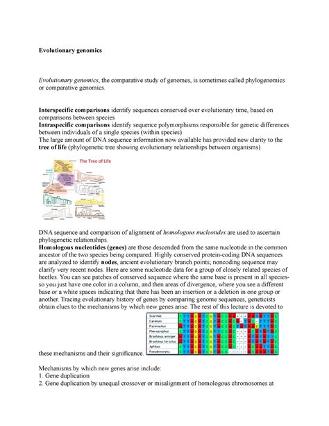 Evolutionary genomics - Evolutionary genomics Evolutionary genomics ...