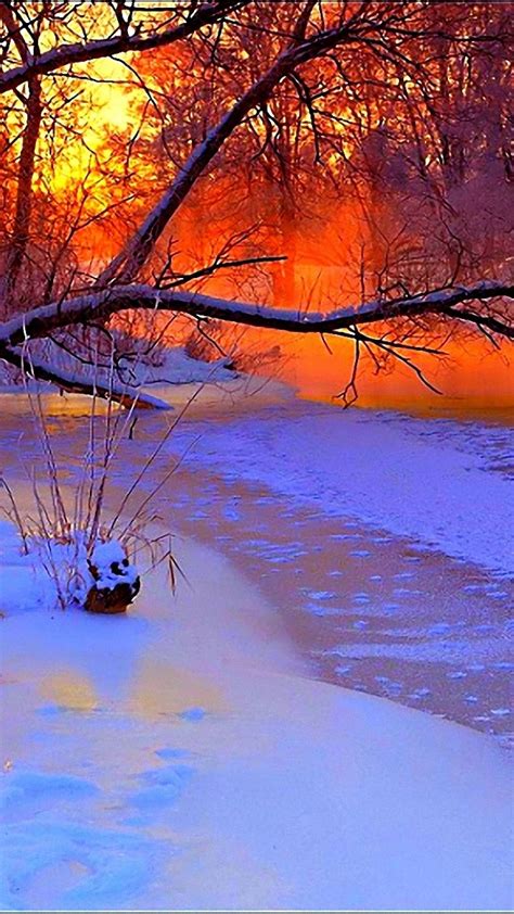 winter, sunset, evening, branches, tree, pond, cold, snow | Winter ...