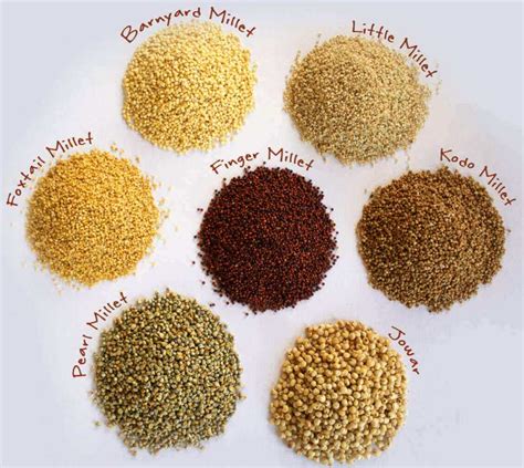 Millets in Tamil - Siru Thaniyangal, Millets for Weight Loss in Tamil