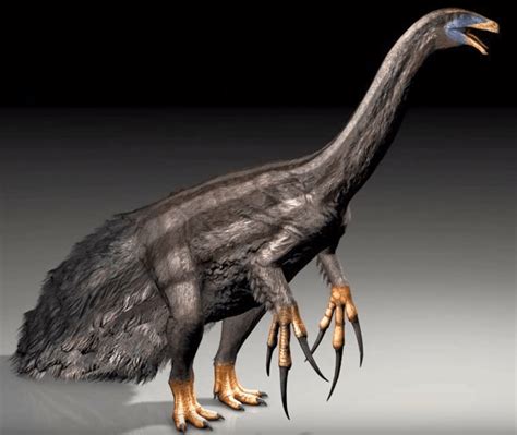 Therizinosaurus Fact Sheet - C.S.W.D