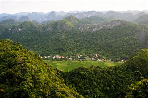 Planted forests in Vietnam enhance ecosystem goods and services - CIFOR ...