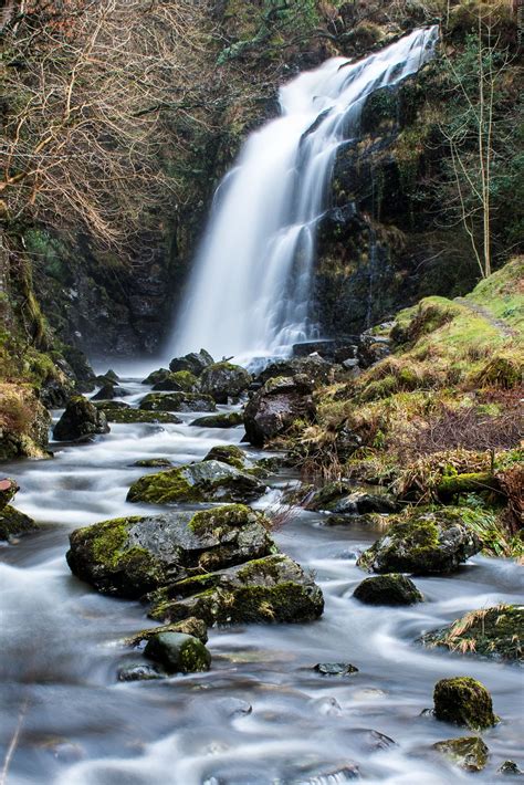 Galloway Forest Falls | Forest falls, Galloway scotland, Forest park