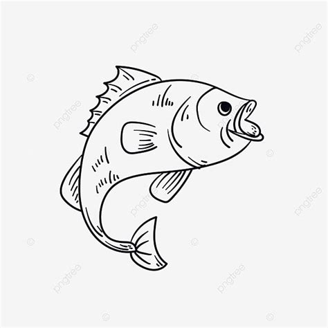 Gambar Ilustrasi Ikan - Data Dikdasmen