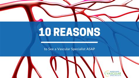 10 Reasons to See a Vascular Specialist ASAP