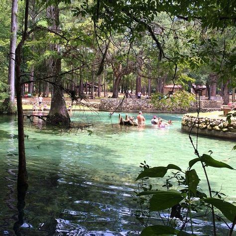 You'll Never Forget A Trip To This Crystal Clear Spring In Florida | Florida | Florida springs ...