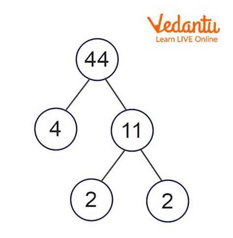 Factors of 44 | Learn and Solve Questions