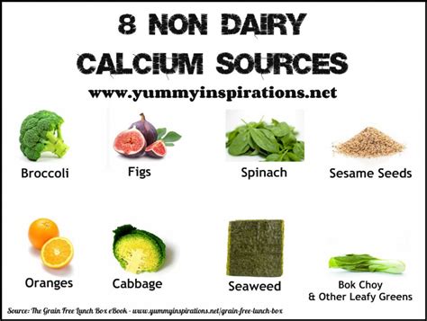 8 Non Dairy Calcium Sources