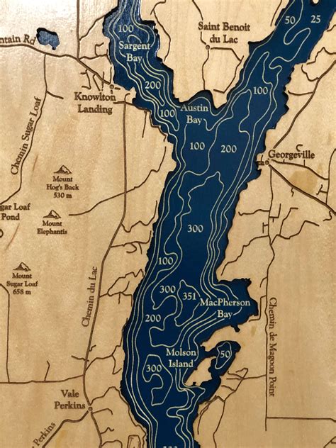 Lake Memphremagog Custom Wood Map 3D Wall Art Contour Map - Etsy UK