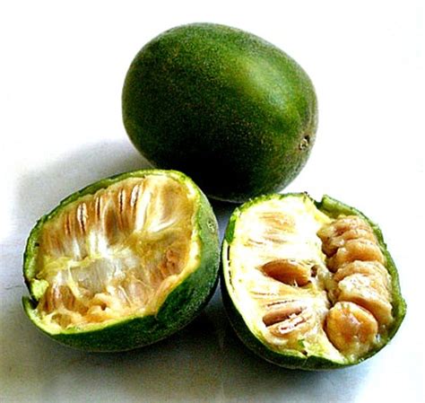 Health Benefits Of Luo Han Guo (Monk Fruit Or Momordica Fruit ) - HubPages