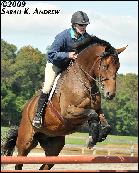 Photo 2: George Morris Clinic | Persimmon Tree Farm: Westmin… | Flickr