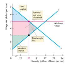 Example of Price Floor: Minimum Wage | Microeconomics