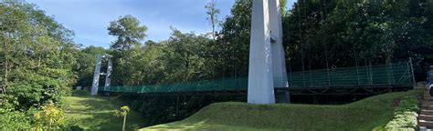 Hanging Bridge - Bukit Gasing Valley Trail Loop, Kuala Lumpur, Malaysia ...