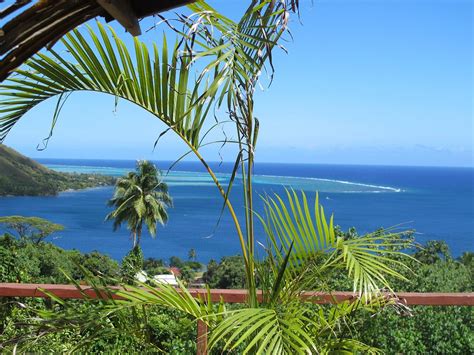 THE 15 BEST Things to Do in Moorea (2025) - Must-See Attractions