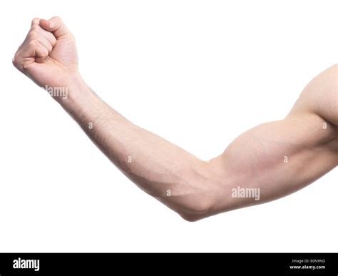 Bent Arm Stock Photos & Bent Arm Stock Images - Alamy