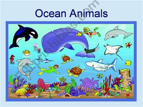 ESL - English PowerPoints: Ocean Animals