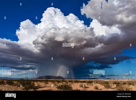 Cumulonimbus cloud with heavy rain and a landspout tornado near Parker, Arizona Stock Photo - Alamy