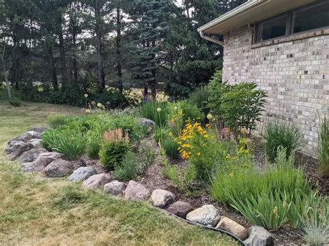 Homeowner turns traditional lawn into gorgeous rock garden and shares ...