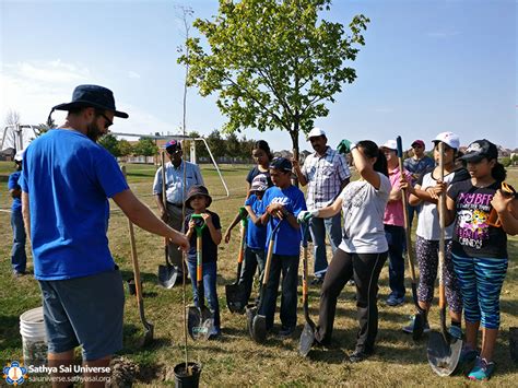 Annual Tree Planting in Canada | Sathya Sai Universe