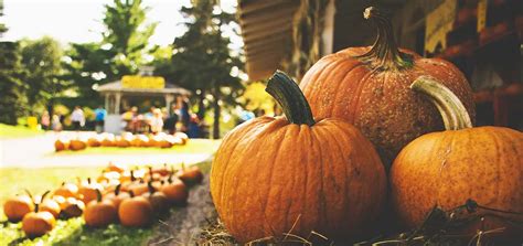 Fall Into Fun: Fall Festivals near Charlottesville - Carriage Hill Apartments