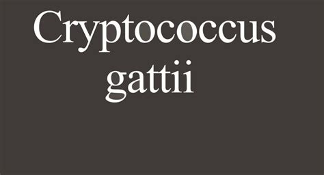 Symptoms and Causes of Cryptococcus Gattii – Fungus Therapy ...