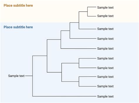 Phylogenetic Tree (Layout) | BioRender Science Templates