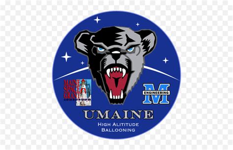 Umhab Twitter - Umaine Black Bears Png,Umaine Logo - free transparent png images - pngaaa.com