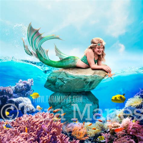 Mermaid Rock in Ocean with Fish - Underwater Mermaid Rock - Beautiful ...