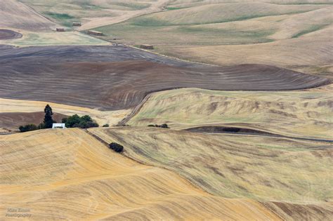 Palouse Harvest | The harvest season has arrived early this … | Flickr