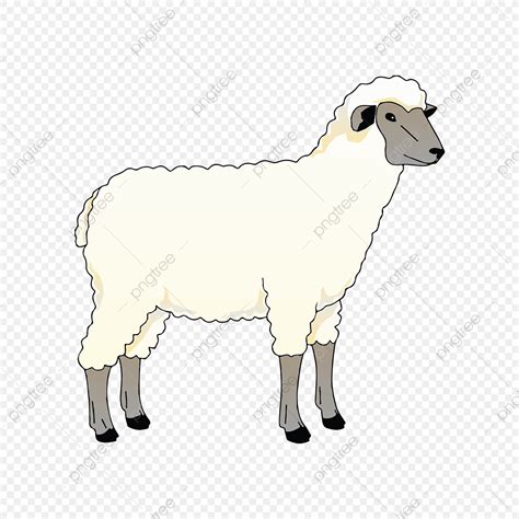 Clipart sheep gambar, Clipart sheep gambar Transparent FREE for ...