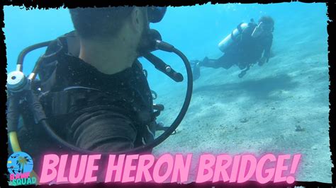 Scuba Diving Adventures | Blue Heron Bridge Ep3 - YouTube