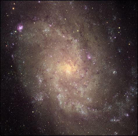 Evolving Universe: Triangulum Galaxy | Smithsonian Institution